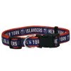 NHL Pet Collar - NY Islanders